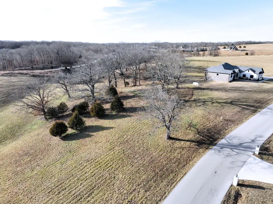 Lot #2 Lone Star Drive, Nixa, MO 65714 - Image #2
