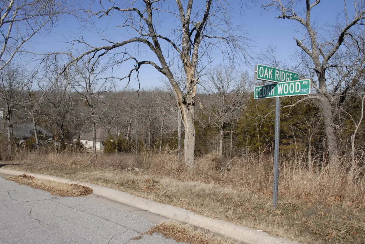 Lot 23 Cedar Wood Avenue, Branson, MO 65616 - Image #1