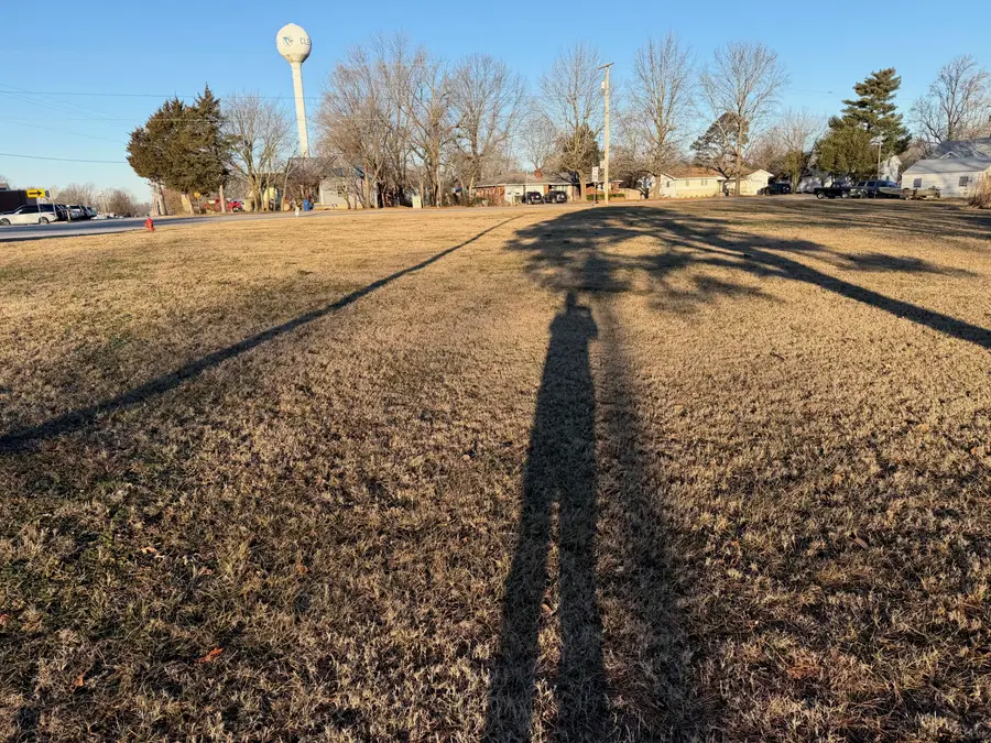 203 W Brown Street, Clever, MO 65631 - #2