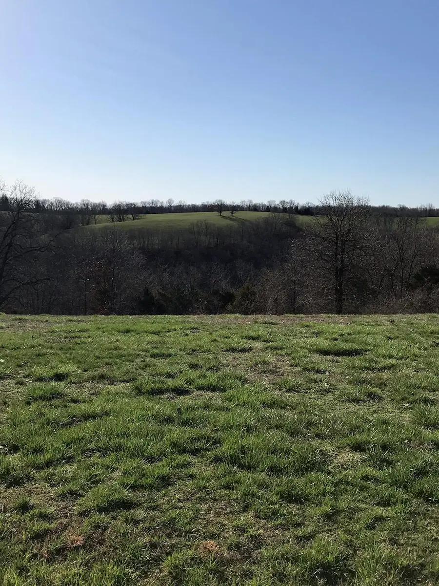 1254 Newbury Road, Reeds Spring, MO 65737 - Image #3