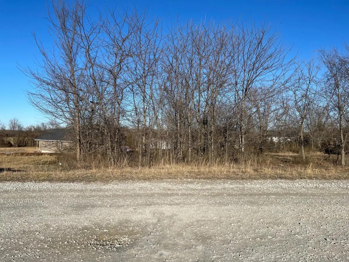 000 Blockade Village North, Seligman, MO 65745 - Image #1