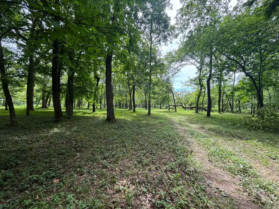000 SE Pawpaw Lane, Galena, KS 66739 - Image #2