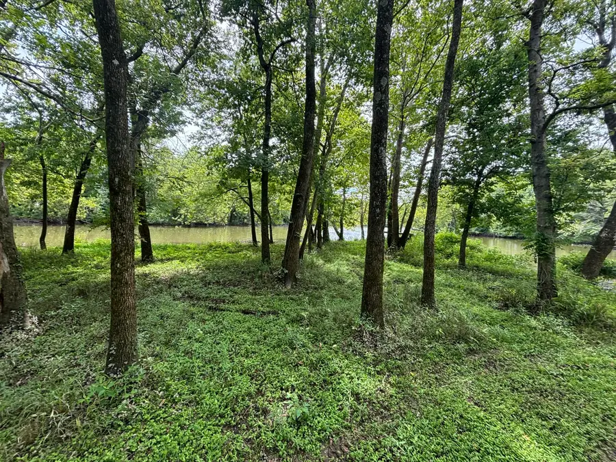 000 SE Pawpaw Lane, Galena, KS 66739 - Image #3