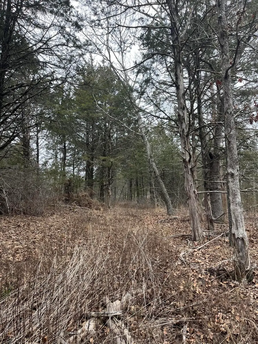 Tract 4 Private Drive 2336, Norwood, MO 65717 - #2