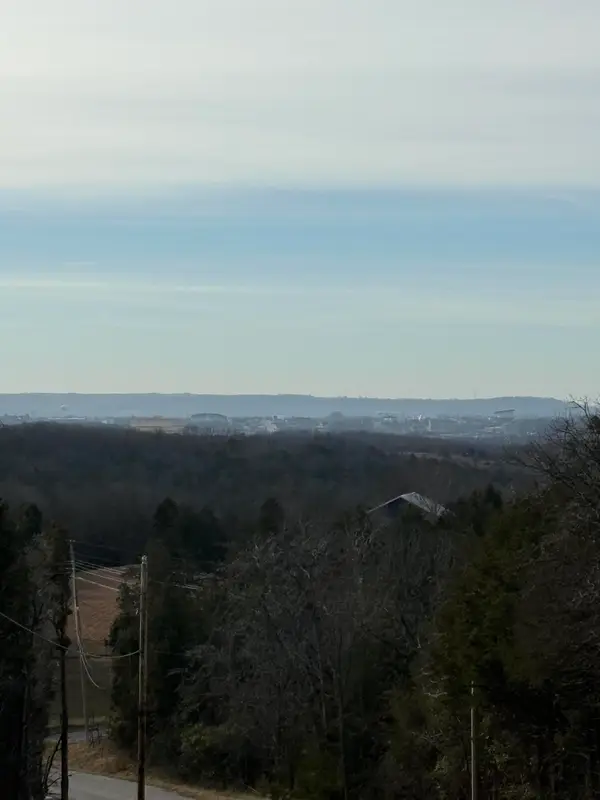 000 Buena Vista Rd, Branson, MO 65616