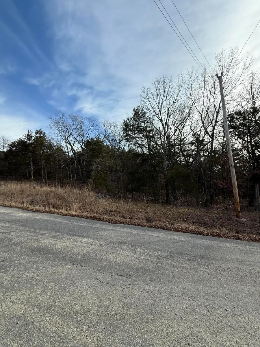 000 Buena Vista Rd, Branson, MO 65616 - Image #2