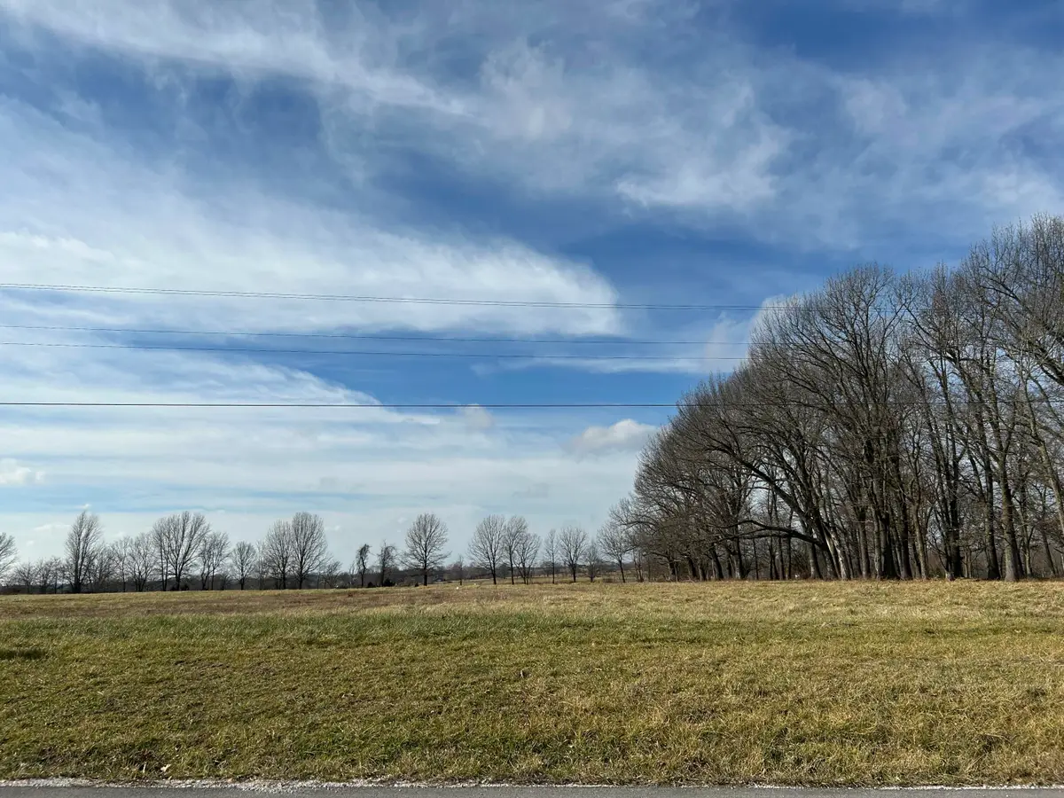 Lot 7 Double Springs Road, Republic, MO 65738 - #1