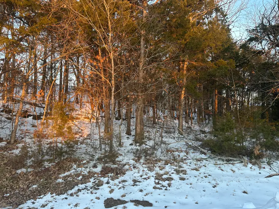 Lot 24 Spring Court, Branson, MO 65616 - Image #2