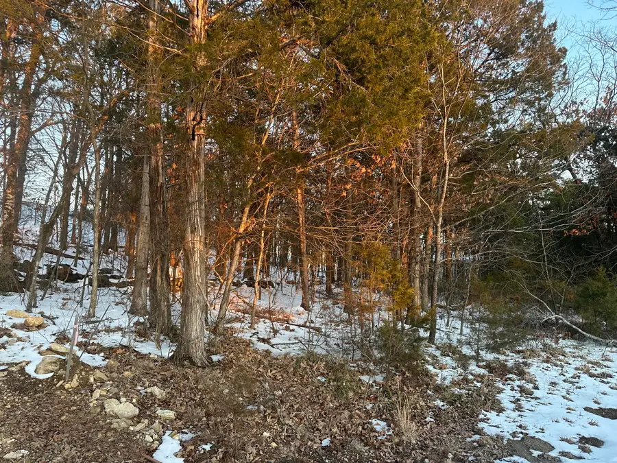 Lot 24 Spring Court, Branson, MO 65616 - Image #3