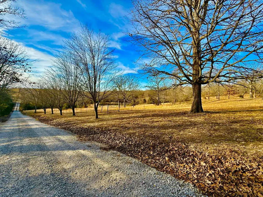 209 County Road 124, Wasola, MO 65773 - #2