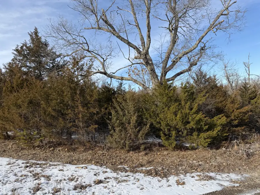 235 Shady Oaks Shore, Forsyth, MO 65653 - Image #3