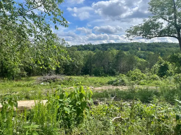 738 Wellington Parkway, Kirbyville, MO 65679