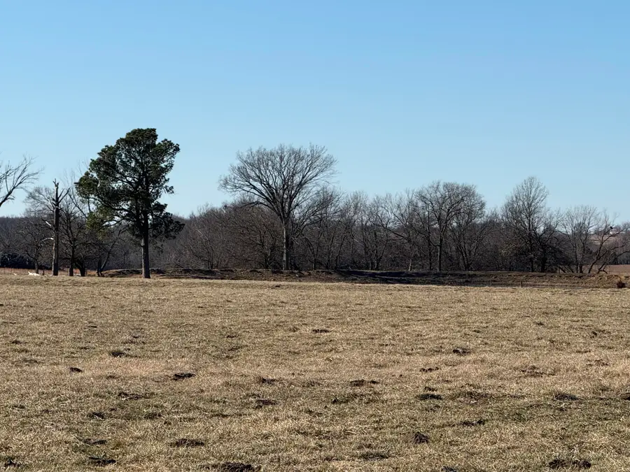 000 NE 90th Lane Lane, Lamar, MO 64759 - #3