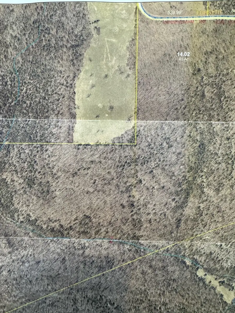 85-Ac Burmingham Road, Forsyth, MO 65653 - #3