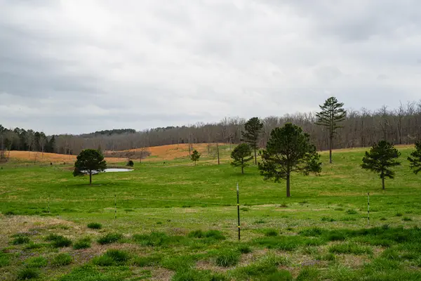 1420 St Hwy 14, West Plains, MO 65775