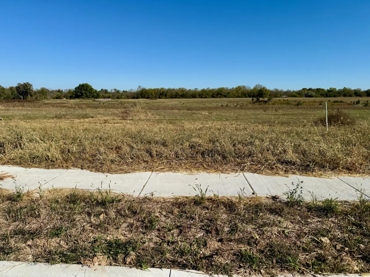 1157 S Antietam Road, Republic, MO 65738 - #1