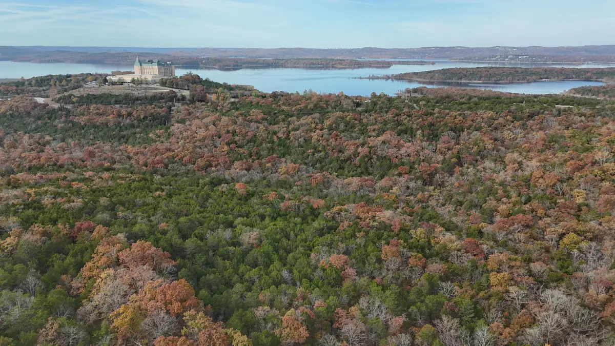 000 Skyview Drive, Branson, MO 65616 - Image #1