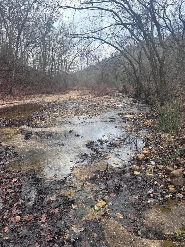 1007 County Road 166, Drury, MO 65638