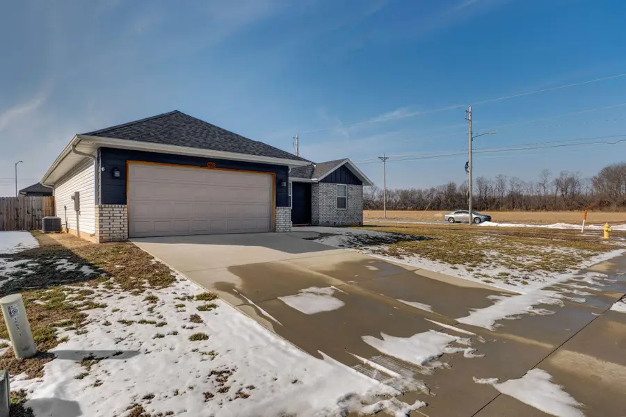 1003 S Meteor Avenue, Springfield, MO 65802 - #3