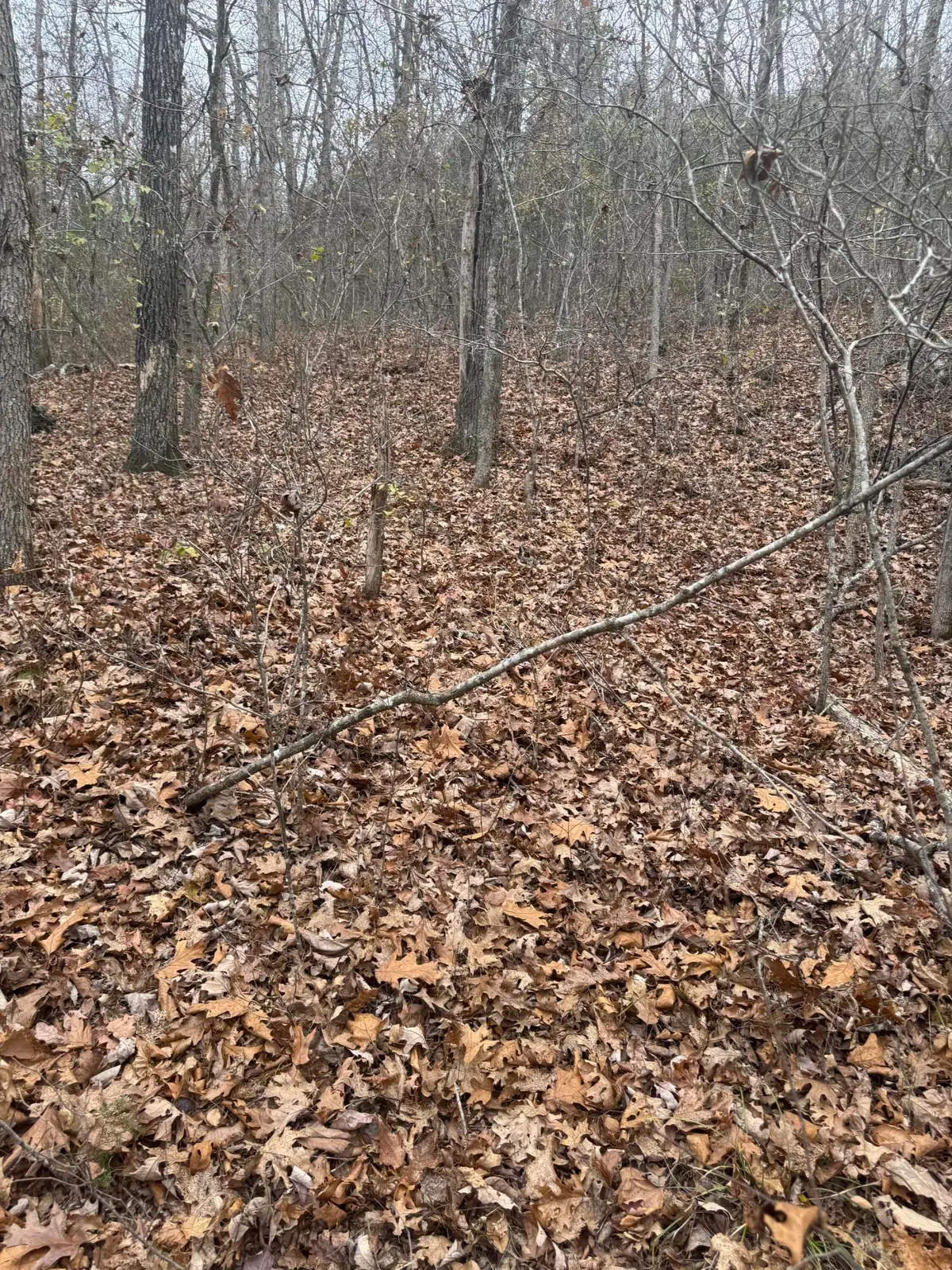 000 County Road 19-301, Eminence, MO 65466 - #1