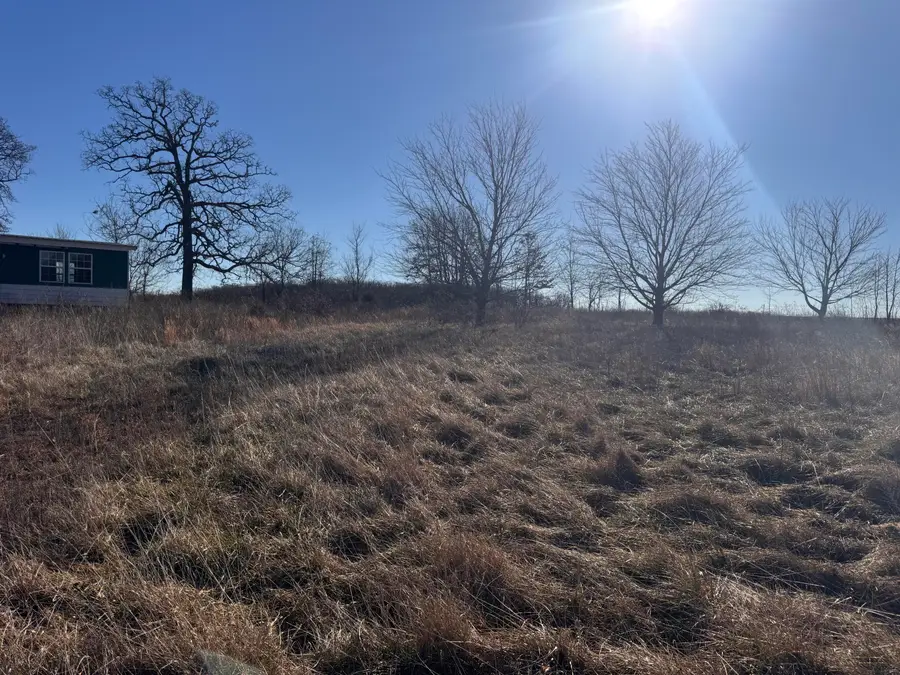 142 Lawrence 1125, South Greenfield, MO 65752 - #3