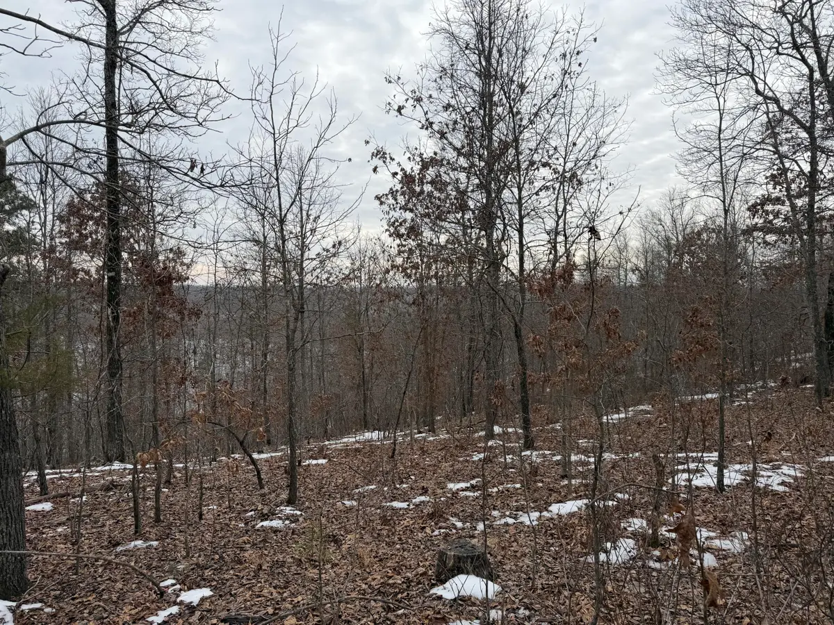 000 N Bergmann's Hollow Lane N, Eminence, MO 65466 - #1