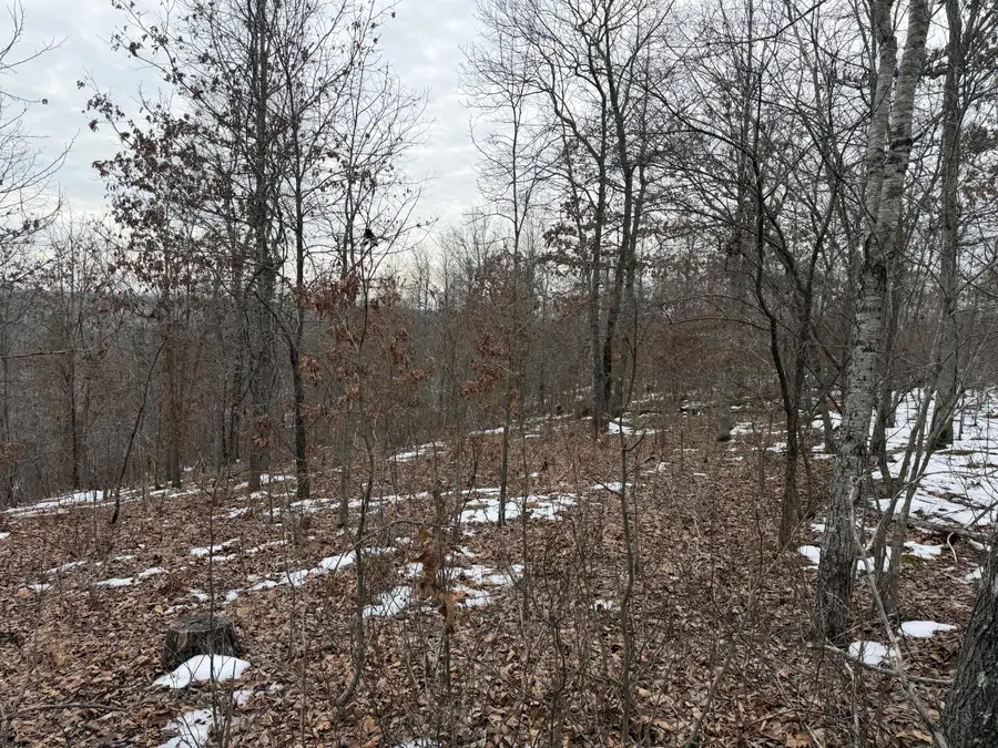 000 N Bergmann's Hollow Lane N, Eminence, MO 65466 - #2