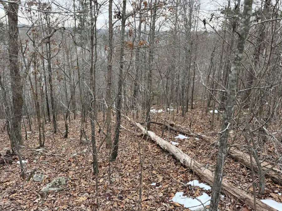 000 N Bergmann's Hollow Lane N, Eminence, MO 65466 - #3