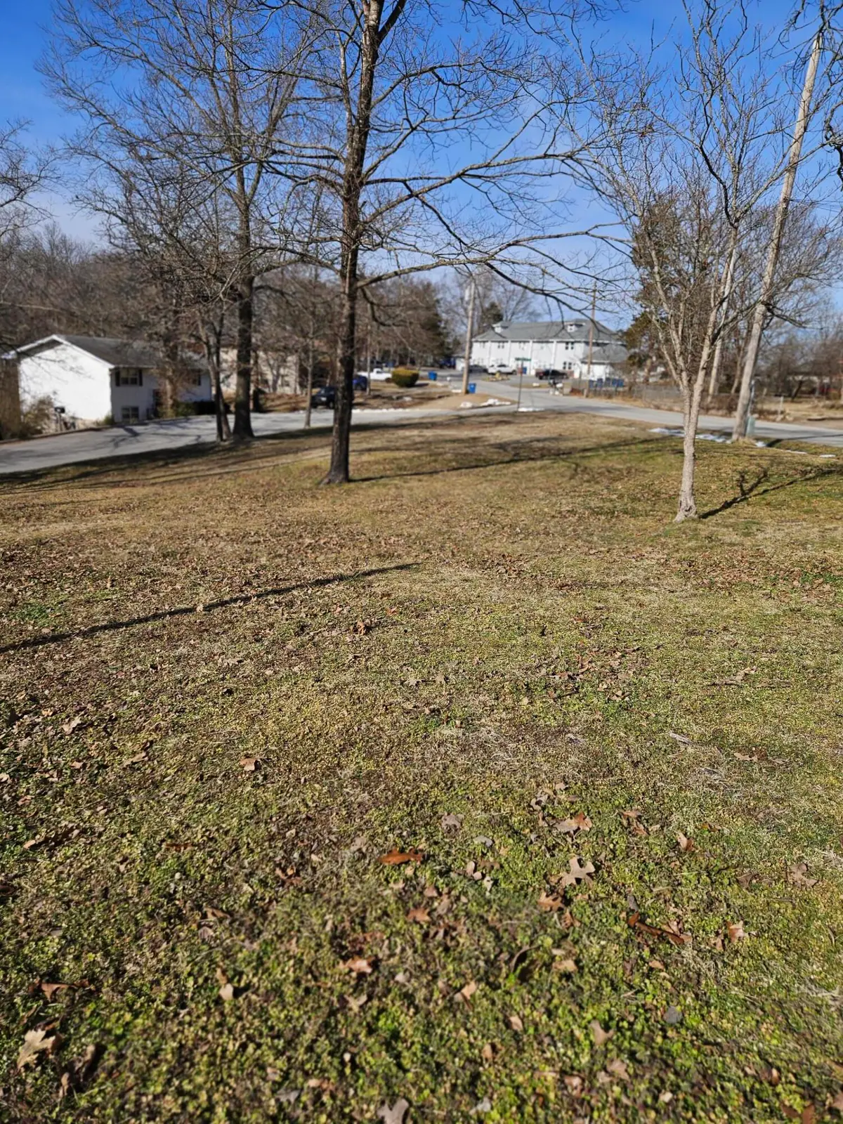 000 Knox Avenue, Hollister, MO 65672 - #1