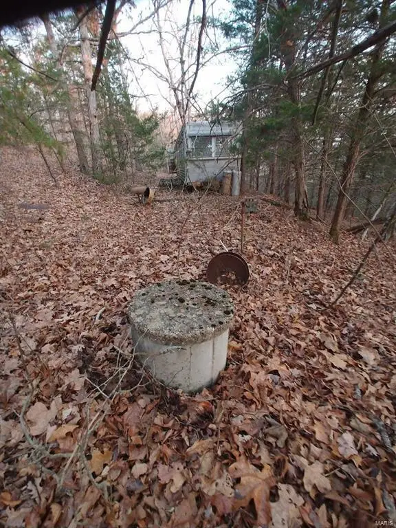 000 Thurman Lake Road, Cuba, MO 65453 - #3