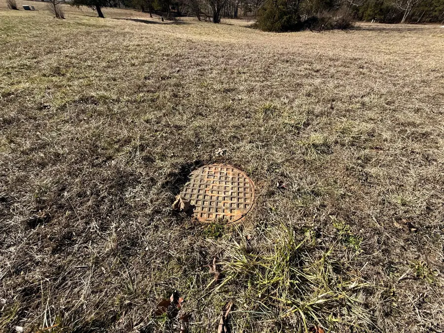 000 Primrose & Honeysuckle Lane, Houston, MO 65483 - Image #3