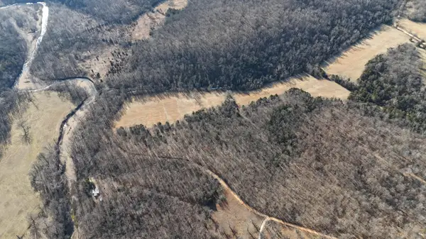 Tbd County Road 481w, Cross Timbers, MO 65634