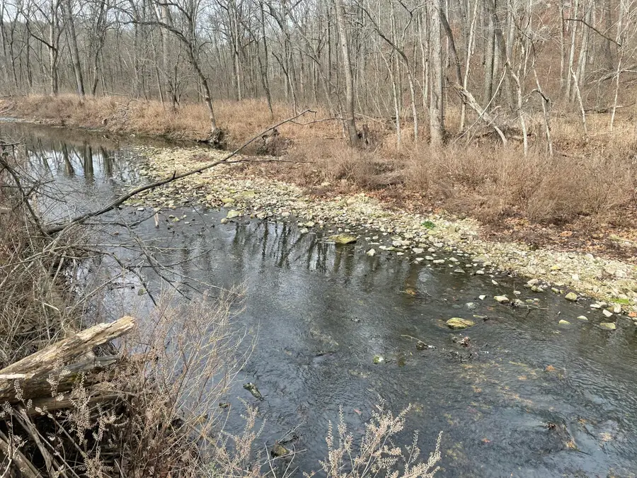 000 Forest Drive, Houston, MO 65483 - #2