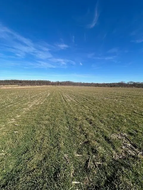 000 Holly Road, Pierce City, MO 65723 - #1