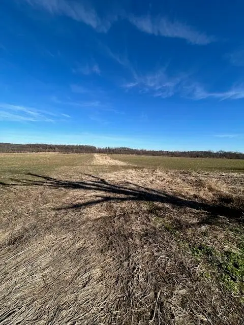 000 Holly Road, Pierce City, MO 65723 - #2