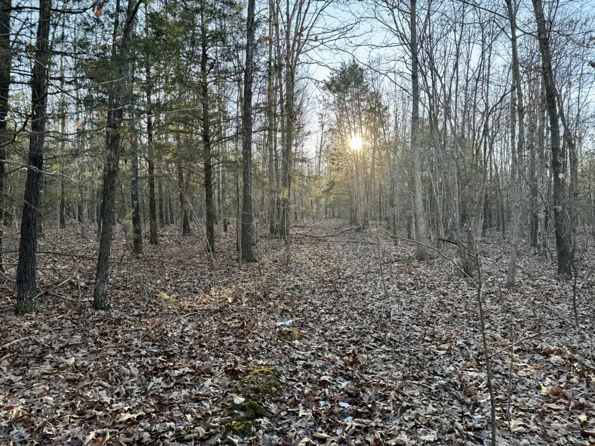 000 Highway Ad, Falcon, MO 65470 - #1