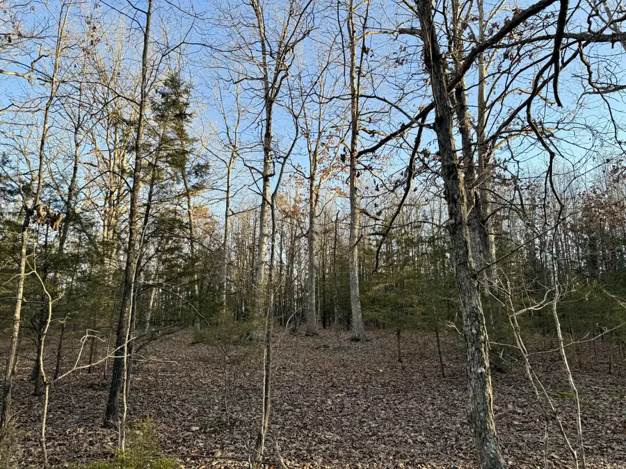 000 Highway Ad, Falcon, MO 65470 - #2