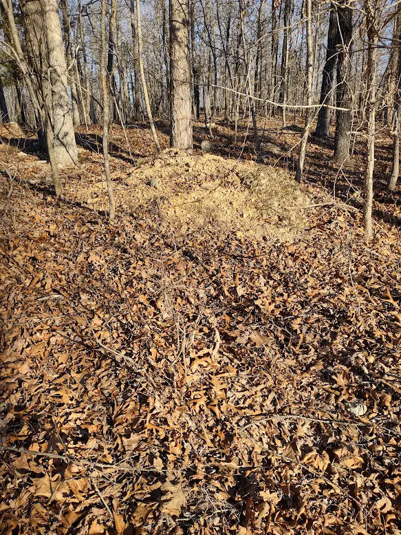 000 Moonshine Pass, Salem, MO 65560 - #2