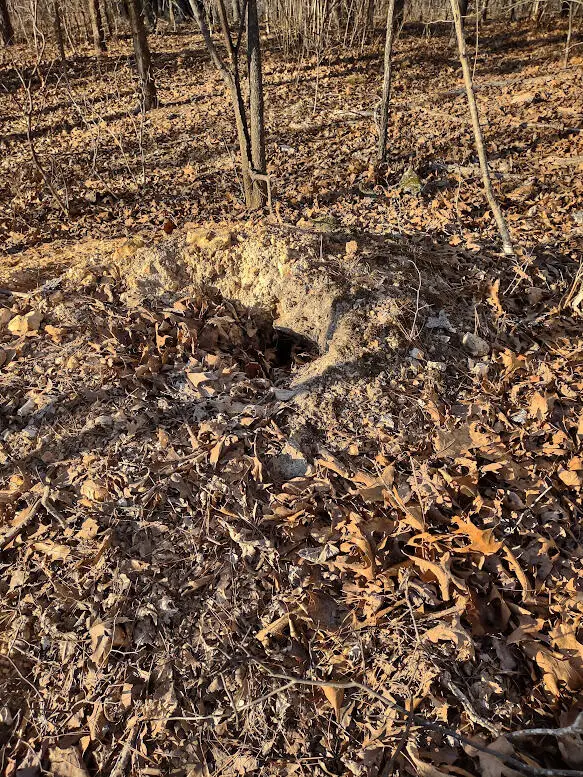 000 Moonshine Pass, Salem, MO 65560 - #3