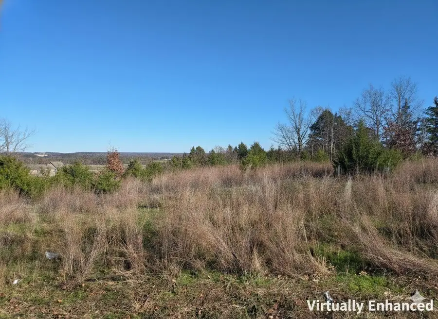 112 Black Forest Lane, Branson West, MO 65737 - #2