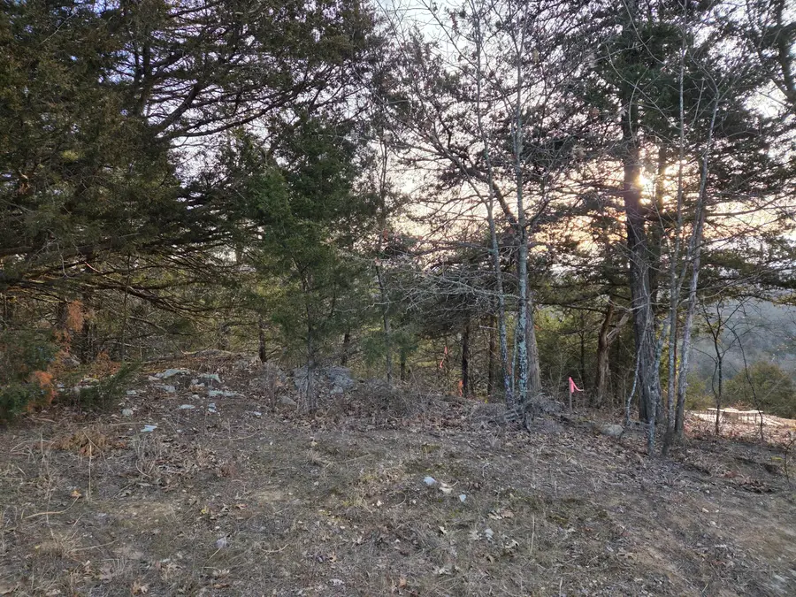 116 Black Forest Lane, Branson West, MO 65737 - #3