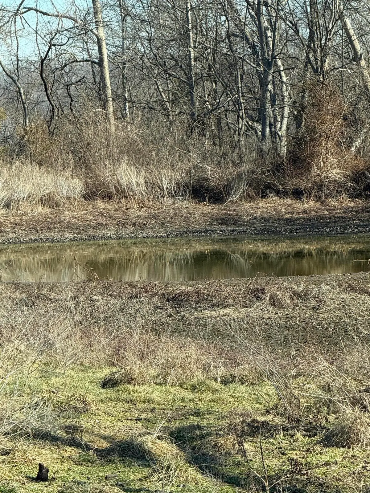 18059 State Highway O, Stark City, MO 64866 - #1