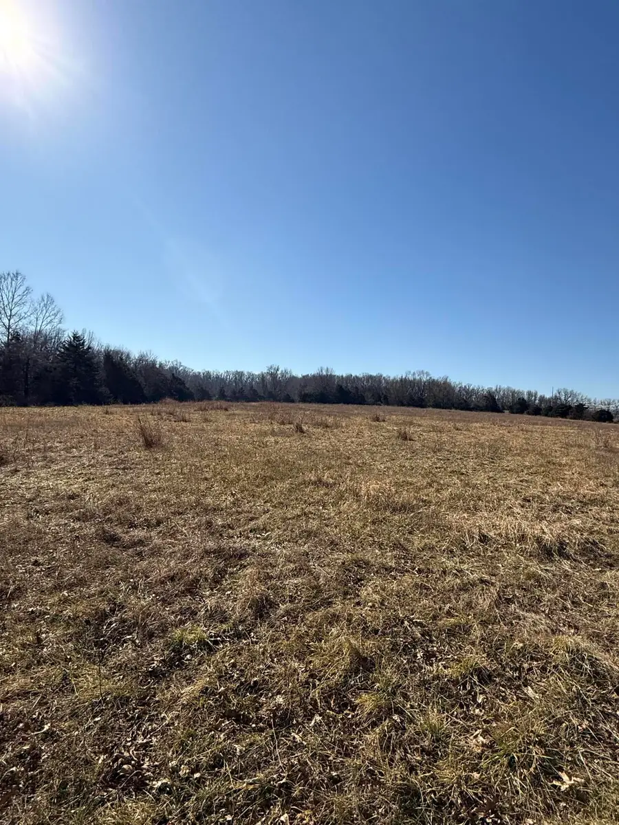 18059 State Highway O, Stark City, MO 64866 - #2