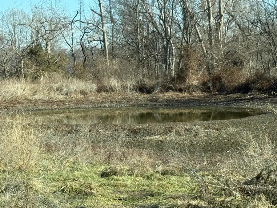 25073 Poppy Dr #Tract 1, Stark City, MO 64866 - #2