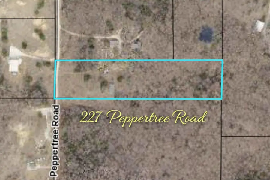 227 Peppertree Road, Cedar Creek, MO 65627 - #2