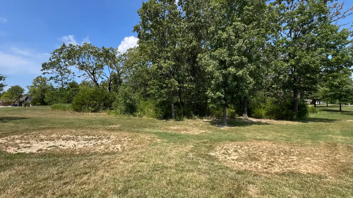 Lot 58 Forest Lake Drive, Branson West, MO 65737 - #1