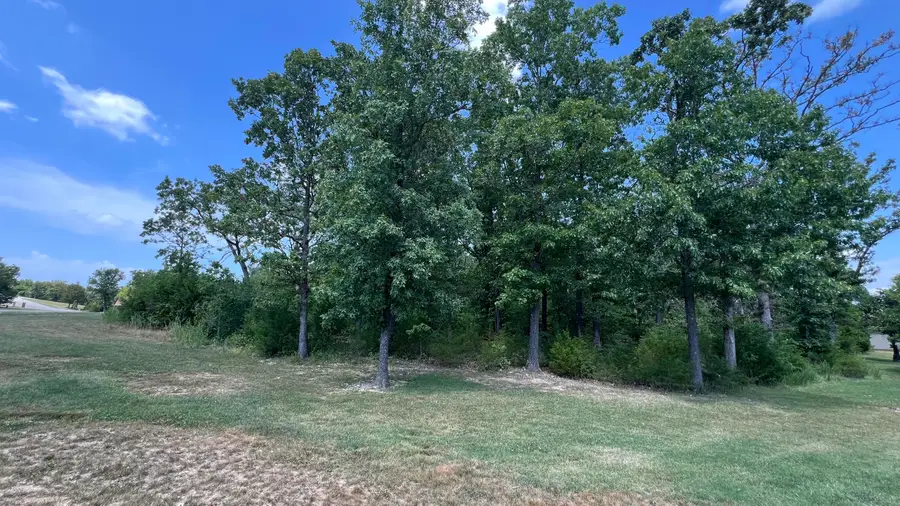 Lot 58 Forest Lake Drive, Branson West, MO 65737 - #2