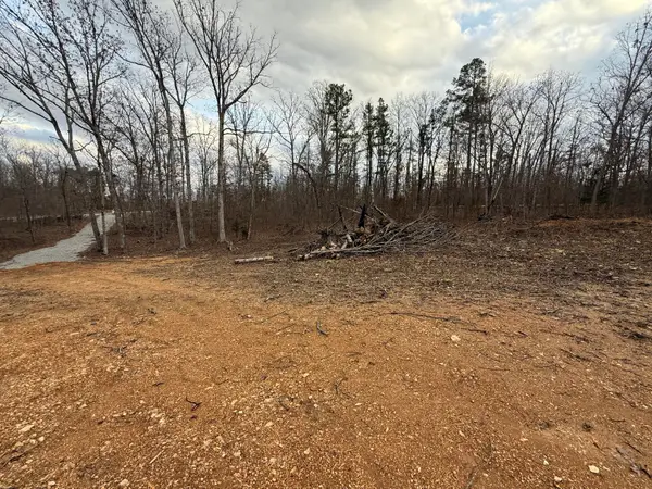 000 Tract D Vv Highway, Licking, MO 65542