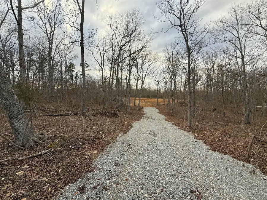 000 Tract D Vv Highway, Licking, MO 65542 - #2