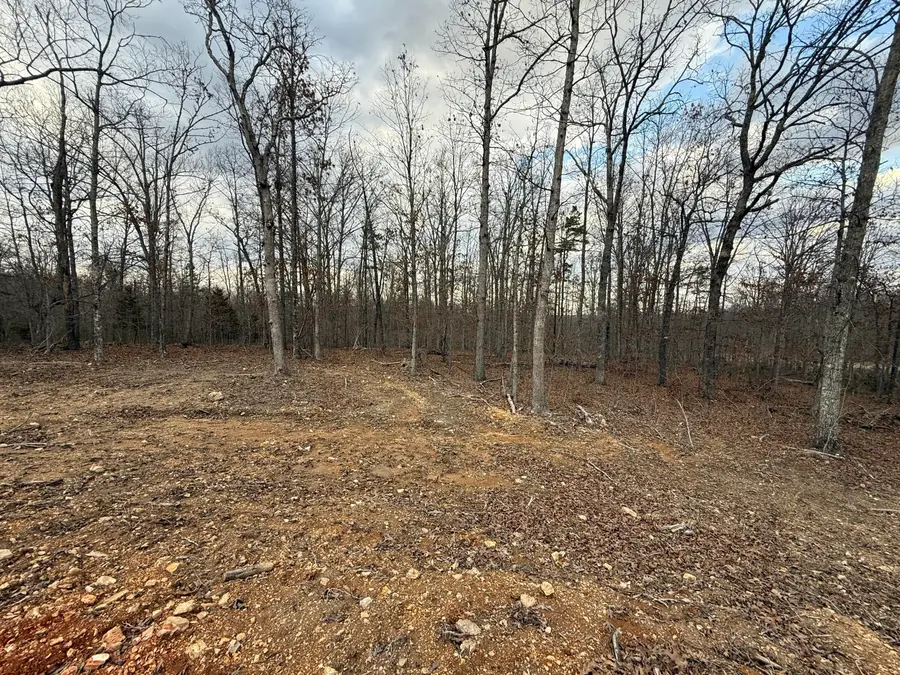 000 Tract D Vv Highway, Licking, MO 65542 - #3